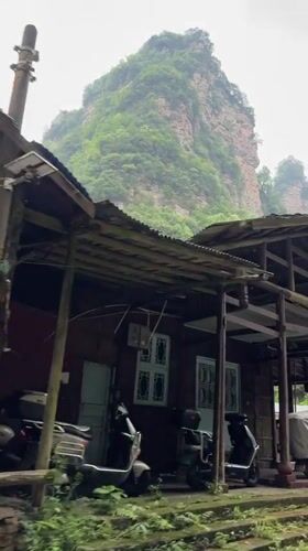 Decaying wooden structure and roadside scenery documented in Zhonghu