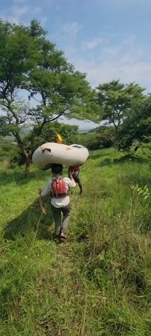 A person, from the lower back, is walking in an open grassy field with a large deflated white inflatable boat on their head. Another person is walking a few steps in front of them. Both are walking on a path through the grass, which is dotted with trees. The sky is blue with some scattered clouds.
