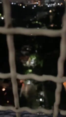 The video shows a nighttime view of a city skyline, blurred by a foreground of metal bars. The bars appear to be part of a fence or railing. In the background, illuminated buildings and streetlights create a glow against the dark sky. There are trees and some houses visible below the skyline. The camera pans slightly, offering a glimpse of more of the city. The overall impression is one of an urban environment at night, viewed from a distance or through a barrier.