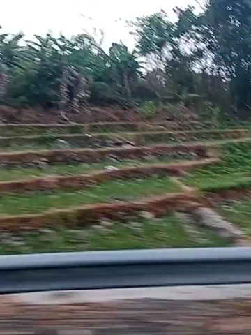 The video shows a view from a moving vehicle. The scene outside consists of terraced agricultural land with some vegetation and trees. A grey metal barrier is visible in the foreground, suggesting the view is from a car, bus, or train. The weather appears overcast. The video is short and does not contain any people or discernible actions.