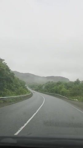 The video shows a car driving on a wet, two-lane road. The road is surrounded by lush green trees on rolling hills. The sky is overcast and gray, with some mist or fog visible in the distance, obscuring the tops of the hills. There is a metal guardrail along the side of the road. A white car is visible in the distance on the same road, also driving forward. The video appears to be filmed from inside a vehicle, looking forward through the windshield. The overall atmosphere is serene and slightly melancholic due to the weather.