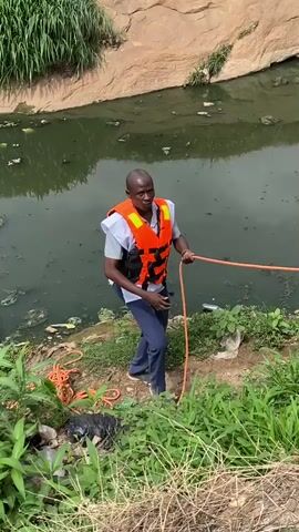 Two men are standing on the grassy bank of a small body of water that appears polluted. The water is murky, green, and covered with debris. In the background is a rocky cliff covered with vegetation.  

One man is wearing an orange and white life vest over a light-colored shirt and blue pants. He is holding a long orange rope. The second man is wearing a white tank top, black shorts, and a peach-colored head wrap. He is also holding the rope and appears to be pulling something from the water.  

The ground around them is covered in green vegetation and trash. The overall impression is that they are involved in some kind of rescue or cleanup effort in a polluted environment.