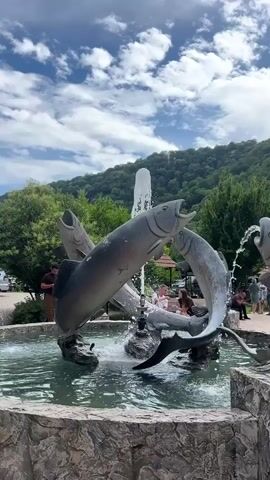 This media file captures a dynamic outdoor scene centered around a fountain adorned with realistic fish sculptures. The fountain itself is a focal point, with water spouting from the mouths of the fish and creating a lively effect. The fish sculptures, depicted in various poses suggesting motion, are arranged in a circular formation within a stone basin filled with water.

In the background, a multi-story building with wooden accents and balconies stands prominently. Signs on the building indicate it is a restaurant. People are visible in the background, some sitting or walking near the fountain and the building, suggesting a public space or a tourist attraction. The overall setting appears to be a resort or a dining area, possibly associated with a natural landscape given the presence of lush greenery and trees on a hillside behind the building.

The time of day seems to be daytime, with natural light illuminating the scene. The sky is partly cloudy, indicating fair weather. The presence of cars parked in the vicinity suggests it is an accessible location. The overall mood of the media is lively and perhaps tourist-oriented, with the engaging fountain as a key attraction. The visible text on the building appears to be in Russian, reading "РЕСТОРАН" (Restaurant) and part of another word which could be a name or type of establishment. The location is identified as Bzypta, Abkhazia.