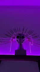 Ornate skull art and crystal displays spotted at Sofia beauty club