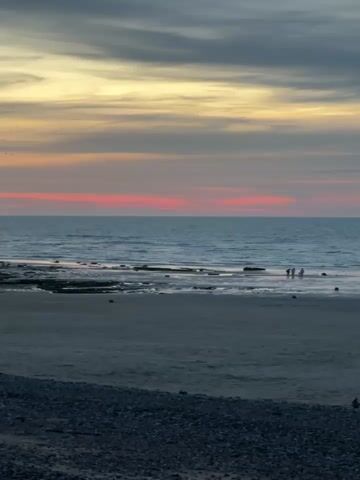 A serene beach scene unfolds as the sun begins to set, casting a warm glow across the horizon. The sky, a canvas of soft hues, transitions from a pale yellow at the top to a delicate pink and then a deeper orange near the sea. Wispy clouds streak across the sky, adding depth and texture to the celestial display. The ocean, a calm expanse of blue, gently laps against the shore, creating small waves that recede into the distance. Along the coastline, dark rocks emerge from the water, creating a rugged contrast with the smooth expanse of the sea. The beach itself is composed of fine sand, with a scattering of pebbles near the foreground. In the distance, a few figures can be seen, silhouetted against the fading light, their presence adding a sense of scale and tranquility to the vastness of the landscape. The overall atmosphere is one of peace and natural beauty, inviting viewers to contemplate the quiet splendor of the approaching twilight.