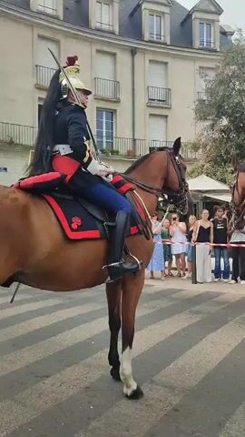 Two people in formal military-style equestrian uniforms are on horseback. They are wearing tall hats with plumes, dark jackets with red trim, and riding boots. One person is on the left and the other is on the right, both facing towards the right side of the frame. The horses are brown with black manes and tails. A group of people are standing on a sidewalk in the background, observing the riders. Behind the observers is a building with multiple windows and balconies. The ground is paved and has white diagonal stripes. The weather appears to be fair.