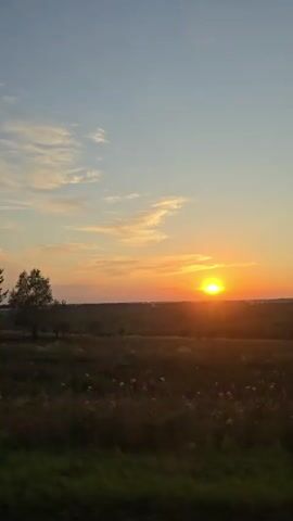 The video captures a serene sunset over a rural landscape. The sun, a bright orange orb, is low on the horizon, casting a warm glow across the sky. Wispy clouds are scattered across the blue expanse, tinged with hues of orange and pink. In the foreground, a field of dry grass and wildflowers stretches towards the horizon. Several trees, silhouetted against the vibrant sky, dot the landscape. On the left side of the screen, a large, empty billboard stands tall. The camera appears to be moving, as the scenery shifts slightly throughout the clip. The overall atmosphere is peaceful and tranquil, evoking the beauty of a fading day.