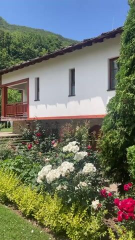 The video opens on a white building with a red-tiled roof, nestled against a lush green mountainside. A covered porch with wooden railings extends from the side of the building. In the foreground, a vibrant garden bursts with red and white roses, bordered by neatly trimmed green bushes. As the camera pans, the scene expands to reveal more of the building, its entryway, and the surrounding landscape. A well-maintained lawn stretches out, dotted with various trees and shrubs. The sky above is a bright blue with scattered white clouds. The camera continues to move, capturing different angles of the building and its picturesque setting. Towards the end, a stone pathway becomes visible, leading through the grassy expanse. The video concludes by showcasing the harmonious blend of architecture and nature, with the building appearing to be a tranquil retreat surrounded by verdant hills and mature trees.