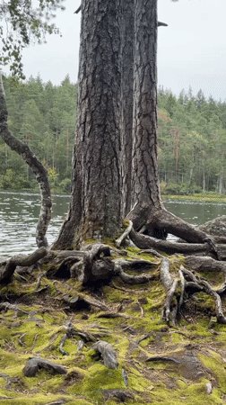 Tarasovskoe, Russia