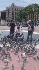 Group feeds pigeons in Barcelona plaza, wheelchair user included