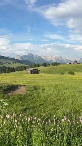 The media file is a vertical video showcasing a picturesque landscape in Kastelruth - Castelrotto, Italy. The scene is dominated by rolling green hills covered in lush grass and dotted with wildflowers. In the mid-ground, a small, rustic wooden cabin sits nestled amidst the greenery, adding a sense of tranquility and isolation. Further in the distance, majestic mountains with rugged peaks rise against a partly cloudy sky. The sky itself is a vibrant blue, with dramatic clouds casting soft shadows across the landscape, suggesting a pleasant day. The foreground features a dense growth of tall grass and delicate pink flowers, creating a natural framing for the scene. The overall impression is one of serene natural beauty and a peaceful, rural setting. There are no people or specific activities depicted, focusing entirely on the natural environment. The lighting and cloud formations suggest it is likely late afternoon or early evening. No text is visible in the video.