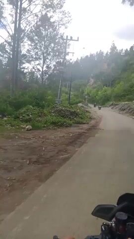 The video is a first-person perspective shot from a moving vehicle, likely a motorcycle given the handlebar visible in the foreground. The vehicle is traveling on a dirt and gravel road that winds through a forested, hilly landscape. On the left side of the road, there are piles of debris, possibly construction waste or natural detritus, mixed with green foliage. Tall pine trees dominate the vegetation, with a power pole and lines visible in the background. The road appears to be unpaved and somewhat uneven, with areas of mud and loose stones. Further up the road, other vehicles, possibly motorcycles, can be seen. The overall environment suggests a rural or undeveloped area, possibly in a mountainous region, with a clear sky overhead. There are no distinct human interactions or actions beyond the movement of the vehicle and the presence of other vehicles in the distance.