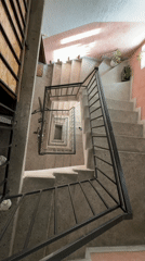 Morning moments captured in Varna: stairwell bicycle, man with cat