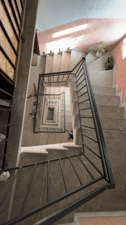 Morning moments captured in Varna: stairwell bicycle, man with cat