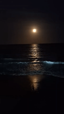 Moonlit ocean waves recorded at Pampatar beach, Venezuela