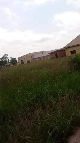 The video pans across an outdoor scene with overgrown grass. In the background, there are several buildings, one of which appears to be a factory or warehouse. Further into the scene, two individuals are visible sitting in chairs outdoors next to a satellite dish. Another person is also seated nearby. The camera then zooms in on two young people sitting on chairs in front of a building, engaged in an activity, possibly studying or working, with a large satellite dish visible on the right. The environment is grassy and appears somewhat unkempt.