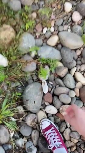 Fossil stone picked up from rocky ground in Batumi