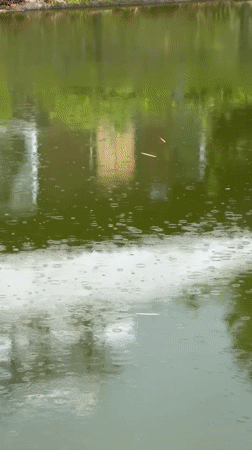 Rainy morning at a rural Vietnam homestay