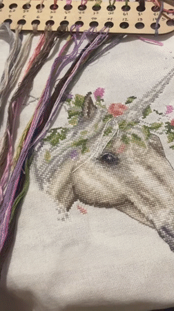 Craft enthusiast documents unicorn cross-stitch project in Yekaterinburg