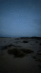 DJ session and beach walk captured in Punta Umbría