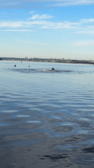 Leisure scenes documented along Perm waterfront during afternoon hours