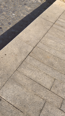 Cherry blossoms bloom in Târgu Mureș public square