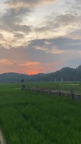 The video shows a wide shot of a green rice paddy field with a stone wall in the foreground. In the background, there are rolling hills covered in trees and vegetation. The sky is filled with dramatic clouds, painted in shades of orange, pink, and gray, indicating either sunrise or sunset. A few white flags or banners are visible in the distance within the field. The lighting suggests a natural outdoor setting during twilight. There are no people or animals clearly visible.