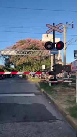 The video shows a railway crossing with red and white barriers lowered across a street. The lights on the crossing signal are flashing red. A silver Renault car drives up and stops behind the barrier. There is a railroad crossing sign and electrical wires overhead. Behind the barrier, trees, buildings, and a blue sky are visible. The video is taken from the side of the road.