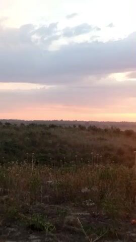 A panoramic shot of a landscape at sunset. The sky is filled with soft pink and purple clouds, with the sun creating a bright orange glow on the horizon. The foreground is a field of dry grass and wild flowers, with rolling hills in the background. The overall mood is peaceful and serene.