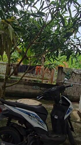 Lazy morning at home in Nga, Indonesia