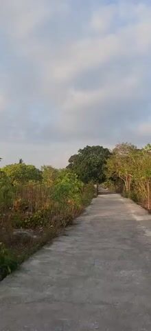 A narrow paved path winds through a landscape of lush green trees and foliage. The path appears to be empty, with no people or vehicles visible. The sky above is cloudy, with patches of blue sky peeking through. The overall impression is one of a peaceful, natural setting, perhaps a rural road or a park trail.