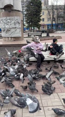Children feed pigeon flock in Ulyanovsk park