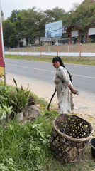 Elderly woman tends roadside garden in Lhokseumawe, Indonesia