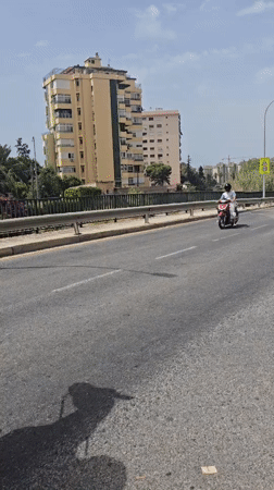Horse and scooter share a road in Málaga