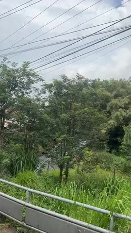 The video shows a view from a moving vehicle, looking out at a stream surrounded by lush greenery. There are trees on both sides of the stream, with the water flowing over rocks and creating small rapids. In the background, there are some buildings and power lines visible. The sky is cloudy, with patches of blue sky showing through. The overall impression is one of a natural, somewhat undeveloped area.
