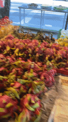 Fruit vendor serves customers at Thai market stand