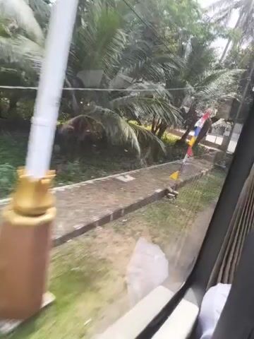 This is a blurry, shaky video taken from the interior of a vehicle, likely a bus, looking out the window. The scene appears to be a rural or semi-rural area with lush greenery, including palm trees. A colorful string of small flags is visible, blowing in the wind. The road or path alongside the vehicle appears wet, possibly from recent rain. In the background, there are some buildings, including what looks like a mosque with a tiled roof and a courtyard, and a large yellow billboard with text and images. The overall impression is of a journey through a tropical or subtropical landscape.