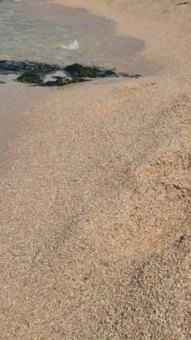 The video shows a close-up view of a sandy beach with gentle waves lapping at the shore. Some dark rocks covered in green algae are visible in the shallow water. The sand is a light tan color and appears to be made up of small pebbles and grains. The water is clear and reflects the sunlight, creating a shimmering effect. The camera angle is low, making the sand and water the primary focus. There are no people or other objects clearly visible in the frame. The sound of the ocean waves is present throughout the short clip.