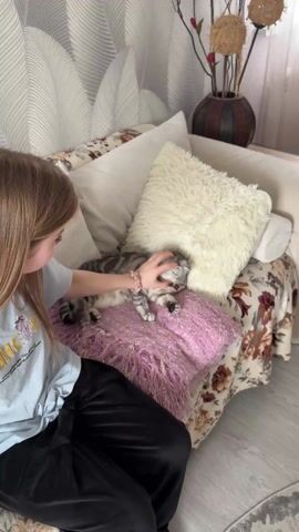 A person with light brown hair sits on a floral print sofa, stroking a grey tabby cat resting on a fringed purple pillow. The cat is wearing a red collar with a tag. White pillows are arranged on the sofa, and a large vase sits in the background. The person continues to pet the cat, focusing on its face. The cat seems relaxed and content during the interaction.