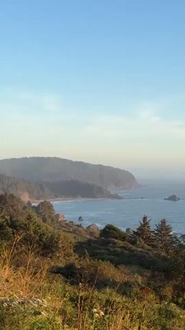 A panoramic view captures a serene coastline bathed in the soft glow of early morning or late afternoon light. The sky, a clear gradient of pale blue at the top transitioning to a hazy pastel near the horizon, offers a tranquil backdrop. Below, a vast expanse of deep blue ocean stretches out, meeting the rugged coastline. Rolling, tree-covered hills dominate the left side of the frame, their verdant slopes descending towards the water's edge. The foreground is characterized by a vibrant, sun-drenched meadow, filled with a variety of grasses and wildflowers in shades of green, yellow, and brown, creating a rich tapestry of natural textures. Scattered across the ocean's surface, and closer to the shore, are several rocky outcroppings, some small and dark, others larger and more prominent, with one particularly noticeable island-like formation further out at sea. The water exhibits gentle ripples, indicating a calm sea state. The overall atmosphere is one of peaceful natural beauty, with the landscape appearing untouched and serene.