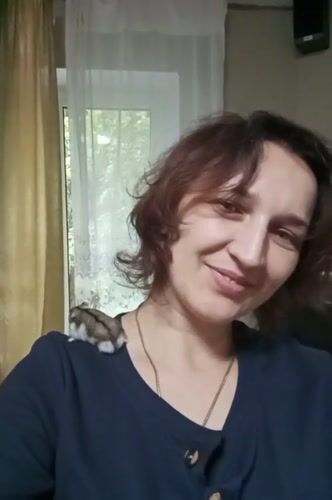 Pet hamster captured in multiple casual moments in Rivne