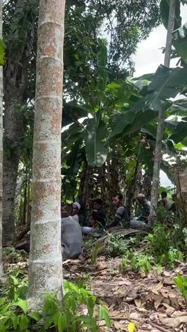 A group of men are gathered in a wooded area. Some are sitting on the ground, while others are standing. They appear to be having a conversation. The environment is lush and green, with trees and banana leaves visible. The lighting suggests it is daytime.