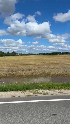 The video shows a view from a moving vehicle, likely a car or bus, traveling along a paved road with a white line marking the edge. The road runs alongside a field of harvested wheat or barley, which appears dry and golden. Beyond the field, there is a line of trees and a clear blue sky with scattered white clouds. As the vehicle continues, a tall communication tower with a red and white antenna comes into view in the distance. Further along, the landscape shifts to a plowed field with darker soil. There are several white birds scattered across this field, and in the background, agricultural machinery, including a green tractor and a red trailer, can be seen. The video captures a rural, agricultural setting on a sunny day.