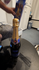 Private celebration with champagne and whiskey documented in Katwijk