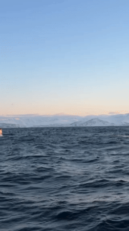 Norwegian passenger ferry travels through choppy coastal waters