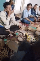 Informal group meal on a rug in Dahanrejo, Indonesia