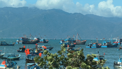 Fishing boats anchored at Vĩnh Lương harbor, Vietnam