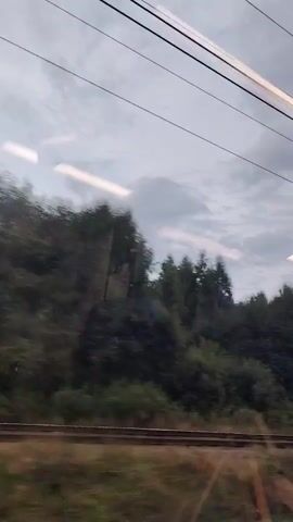 The video shows a view from a moving train through a window. The sky is overcast with clouds. Power lines are visible running horizontally across the top of the frame. Below the sky, a dense line of trees, primarily evergreens, covers a hillside. In the foreground, a blurry, out-of-focus band suggests the train tracks and surrounding ground. The motion of the train creates streaks of light and a sense of speed. There are no people or animals visible in the video.