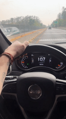 Driver captured on video operating Jeep on Mexican highway