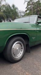 Green vintage Ford Falcon documented in Stanwell Park morning